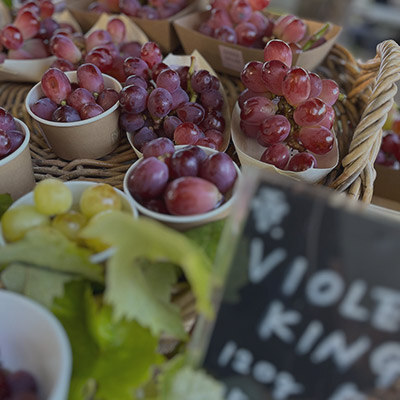 Grape Varieties