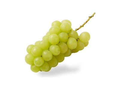 Musca Thirteen grapes