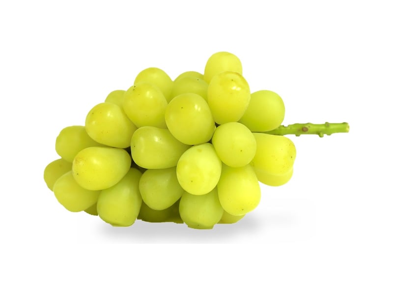 Muscat Zipangu grapes