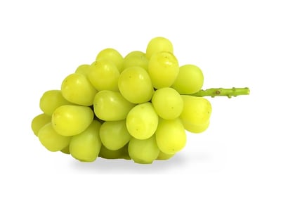 Muscat Zipangu grapes