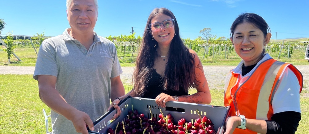 Web news_2026harvest